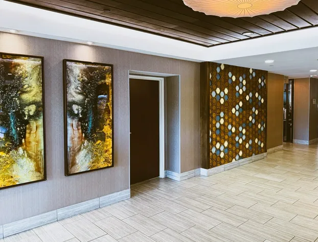 SpringHill Suites by Marriott Austin The Domain Area hotel detail image 2