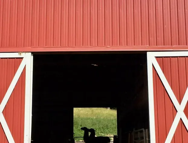 Rainbow Ridge Farms Bed and Breakfast Onalaska/La Crosse hotel detail image 4