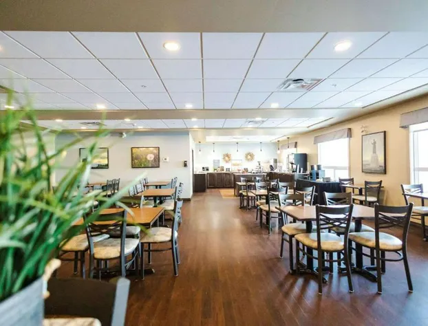 Best Western Plus Lacombe Inn & Suites hotel detail image 1