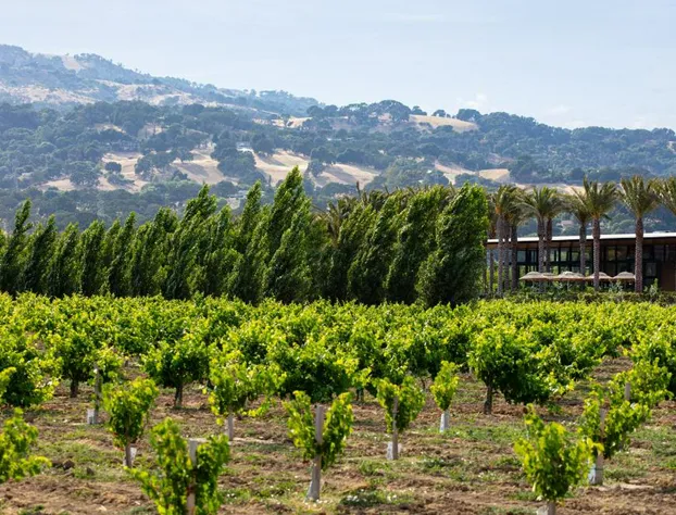 Homewood Suites by Hilton Fairfield-Napa Valley Area hotel detail image 2