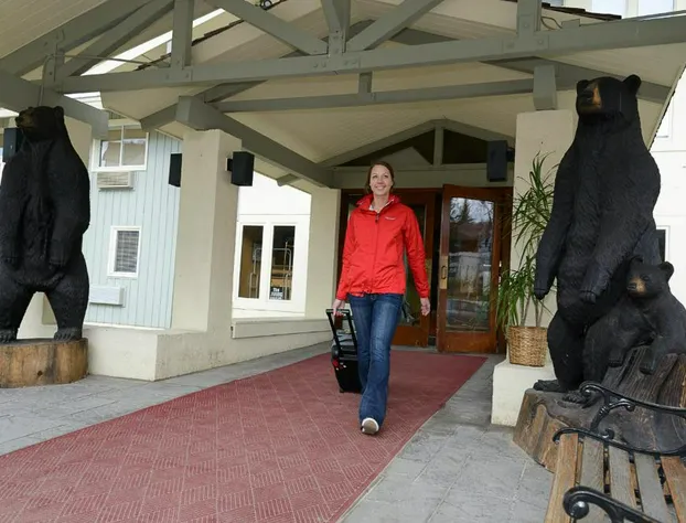 The Black Bear Lodge at Stratton Mountain Resort hotel detail image 3
