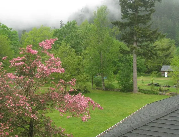 Sasquatch Crossing Eco Lodge B&B hotel detail image 2