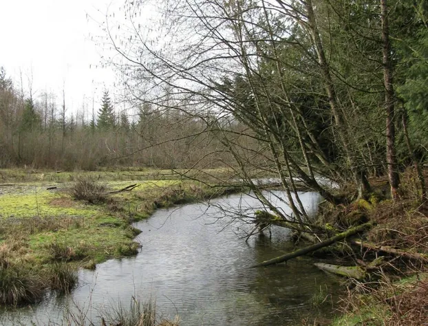 Sasquatch Crossing Eco Lodge B&B hotel detail image 3