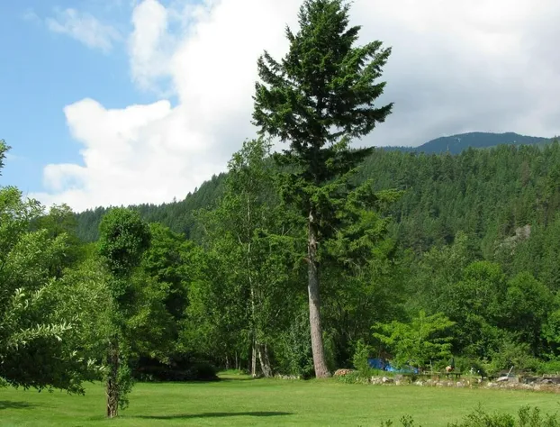 Sasquatch Crossing Eco Lodge B&B hotel detail image 4