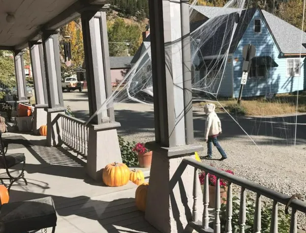 Historic Windsor Hotel hotel detail image 1