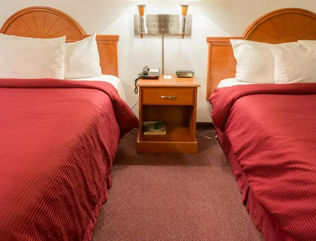 GuestHouse Fife hotel detail image 4