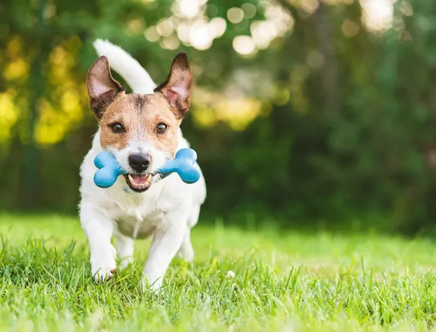 Cape Cod Family Resort and Parks hotel detail image 1