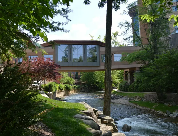 Harrah's Cherokee – A Caesars Rewards Destination hotel detail image 2