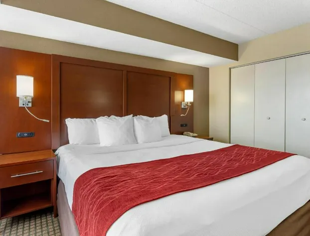 Comfort Inn & Suites Rochelle - DeKalb hotel detail image 4