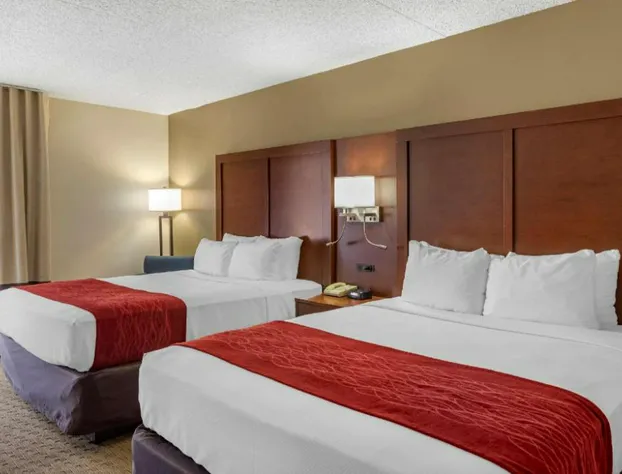 Comfort Inn & Suites Rochelle - DeKalb hotel detail image 4