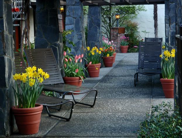 Roman Spa Hot Springs Resort hotel detail image 4