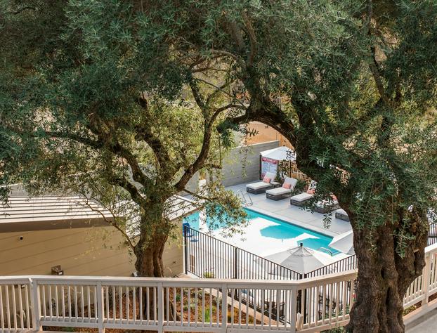 Olea Hotel hotel detail image 1