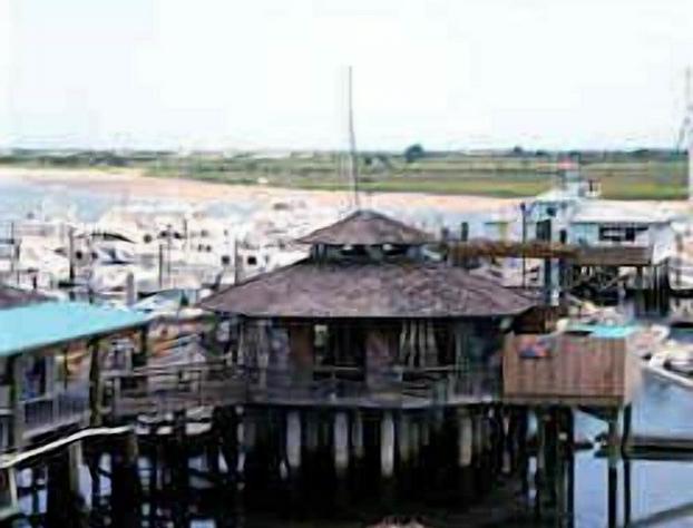 The Conch House Marina Resort hotel detail image 2