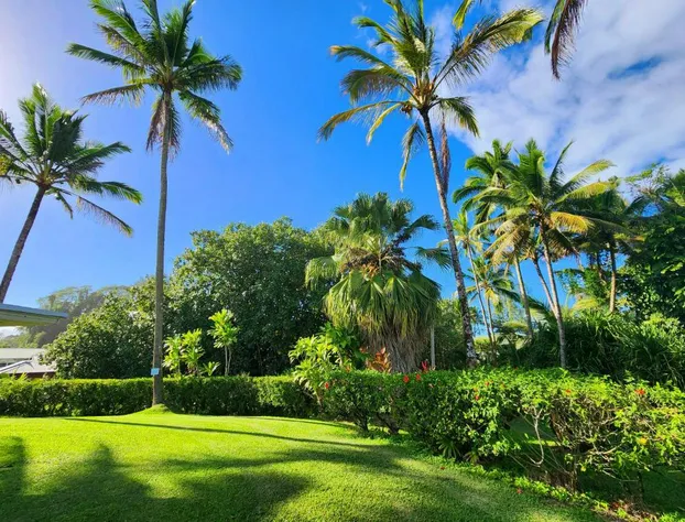 Arnott's Lodge hotel detail image 4