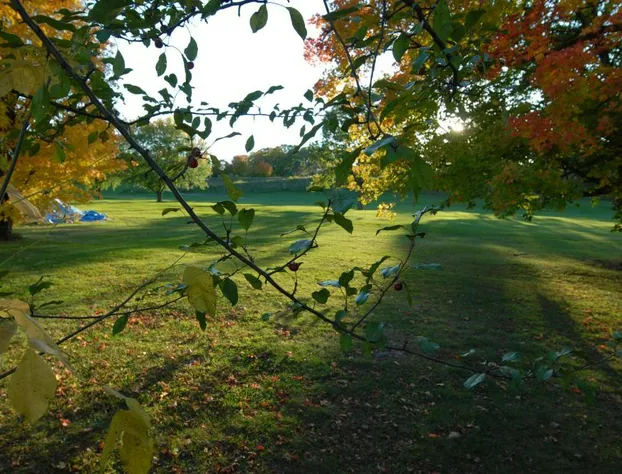 Kings Inn - Orillia hotel detail image 3