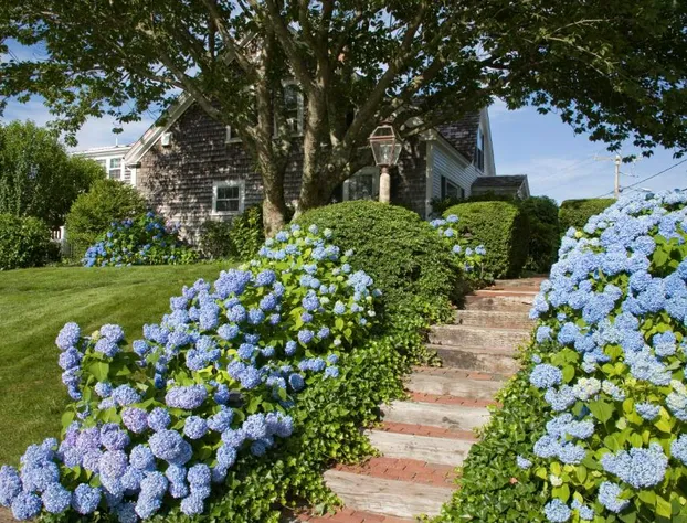 Ship's Knees Inn hotel detail image 1