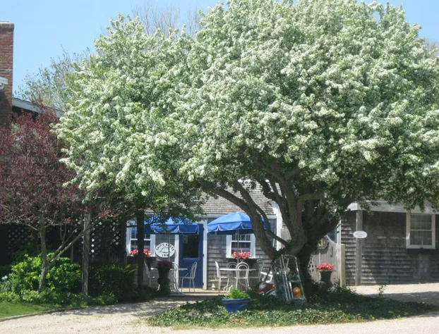 Ship's Knees Inn hotel detail image 4