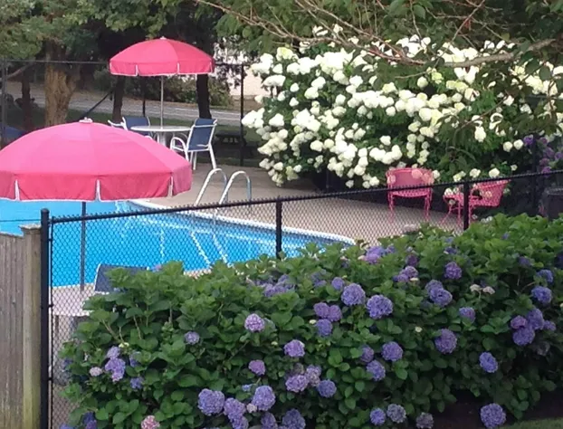 Ship's Knees Inn hotel detail image 4