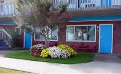 Blue Sea Motor Inn hotel detail image 4