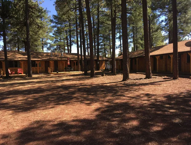 TimberLodge Inn hotel detail image 4