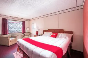 OYO Hotel Windmill Branson hotel detail image 1