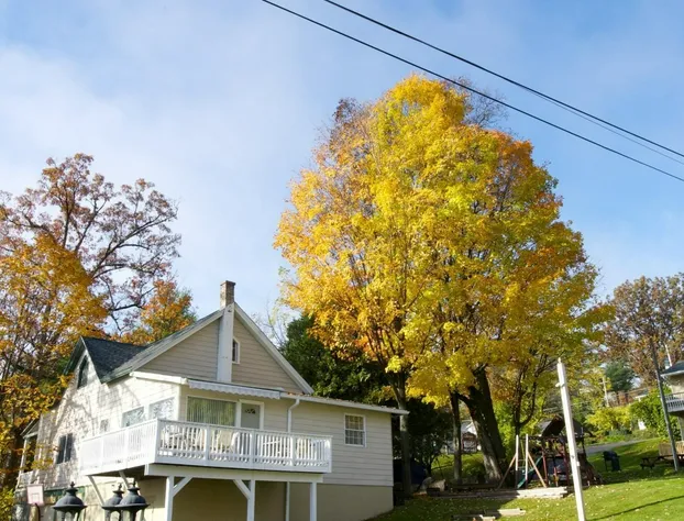 Tea Island Resort hotel detail image 2