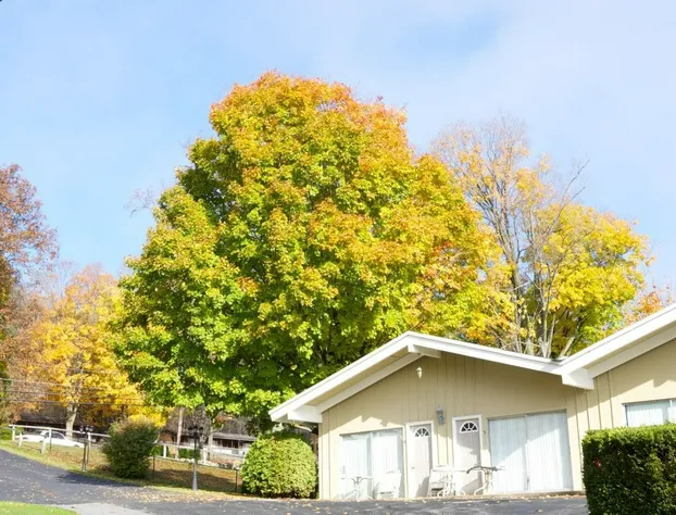 Tea Island Resort hotel detail image 3