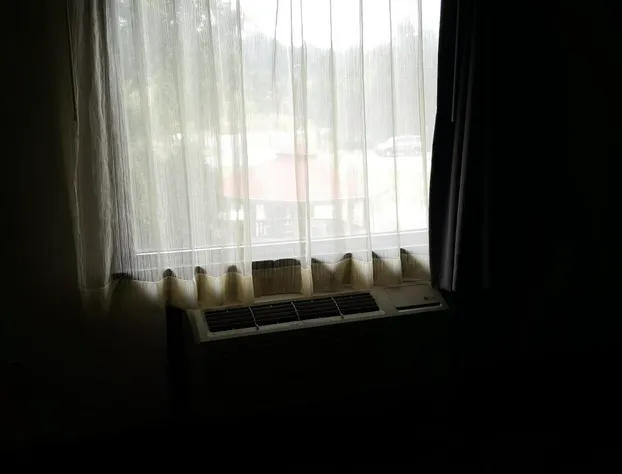 Aartpark Hotel Inn At Lewiston hotel detail image 4