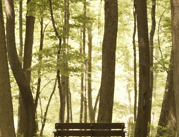 The Inn At Honey Run hotel detail image 3