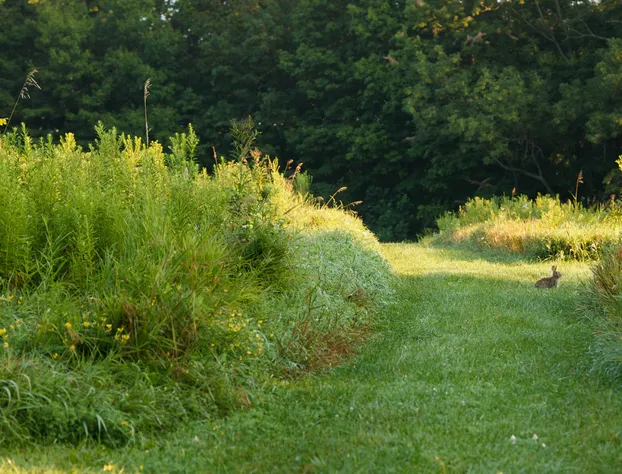 The Inn At Honey Run hotel detail image 4