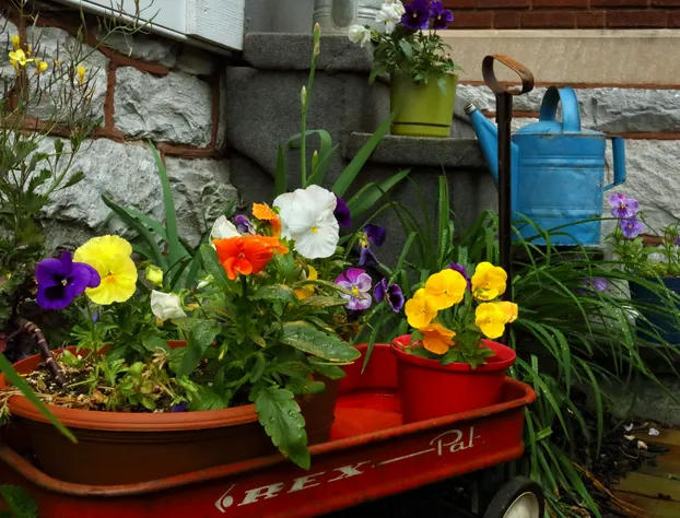 Olde Square Inn B&B hotel detail image 1