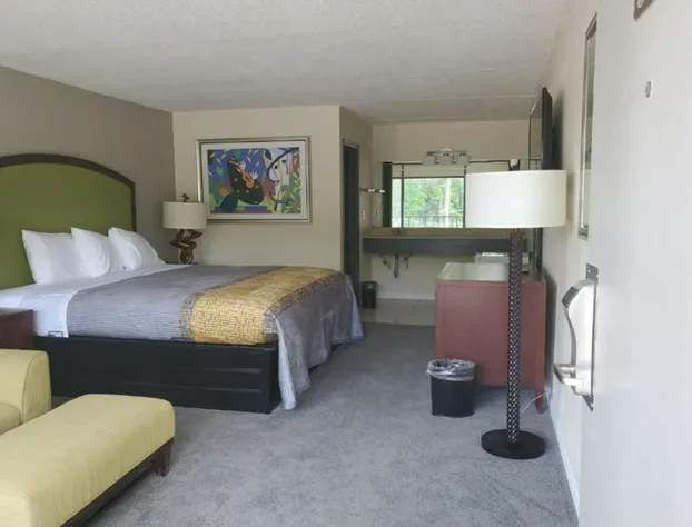 Palmetto Inn & Suites By Oyo Orangeburg hotel detail image 3