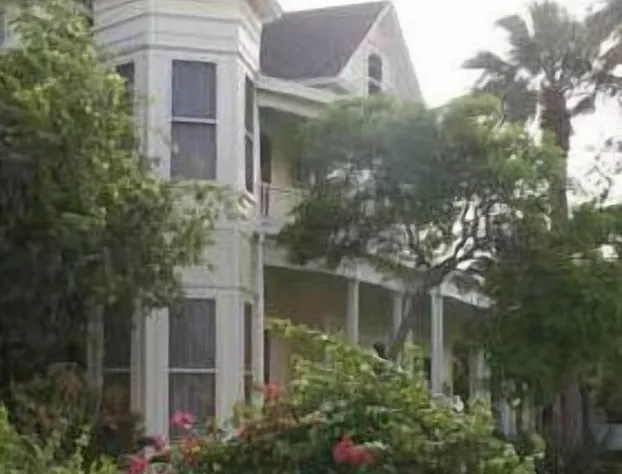 Angel Rose Bed & Breakfast hotel detail image 3