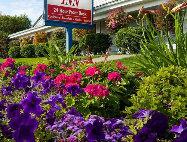 The Marina Inn hotel detail image 4