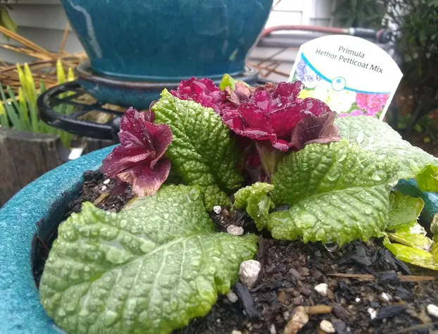 The Orca Inn hotel detail image 3