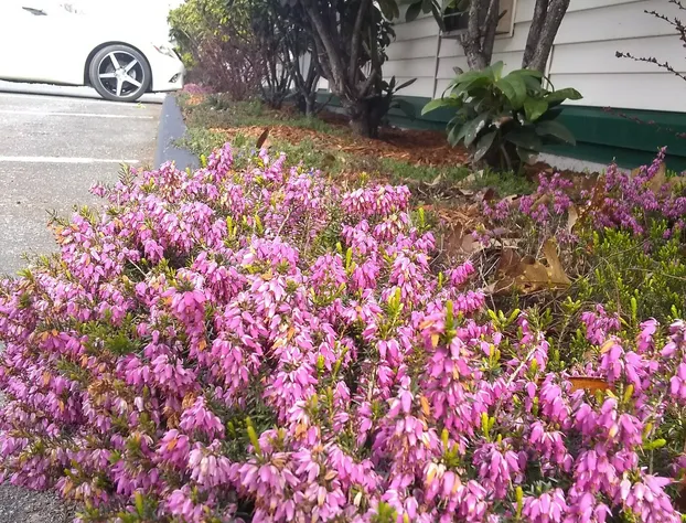 The Orca Inn hotel detail image 4