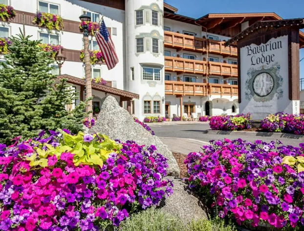 Bavarian Lodge hotel detail image 1