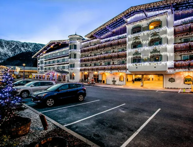 Bavarian Lodge hotel detail image 2