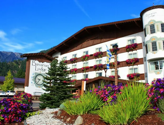 Bavarian Lodge hotel detail image 3