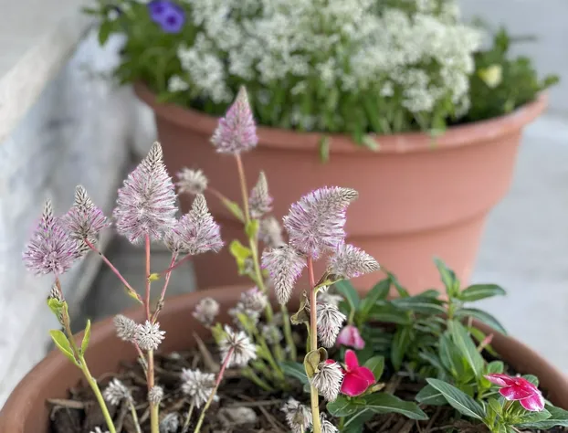 Trails End Motel hotel detail image 4