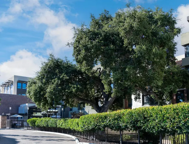 Homewood Suites by Hilton Palo Alto hotel detail image 2