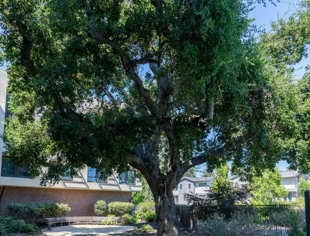 Homewood Suites by Hilton Palo Alto hotel detail image 3