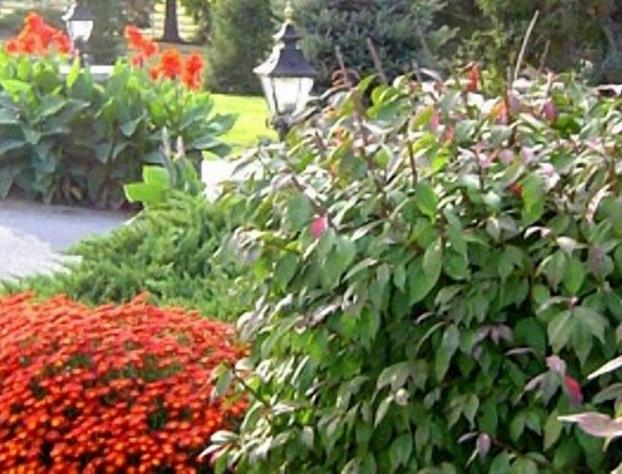 West Ridge Bed and Breakfast hotel detail image 4