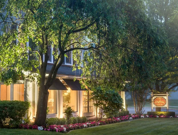 Chateau Inn and Suites hotel detail image 2