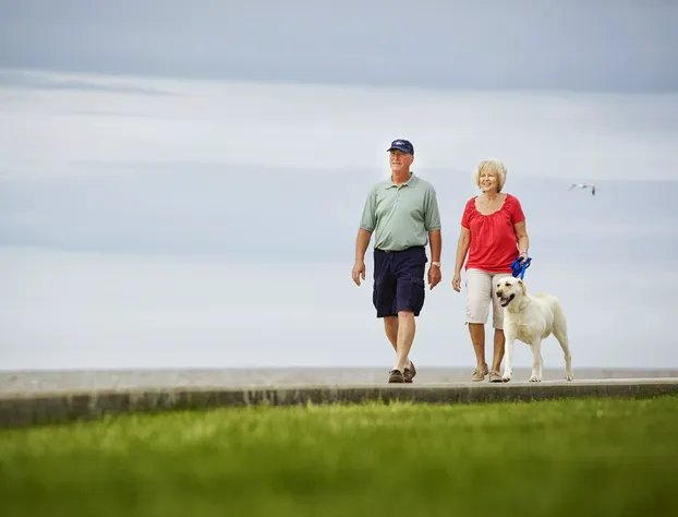 Maumee Bay Lodge hotel detail image 4