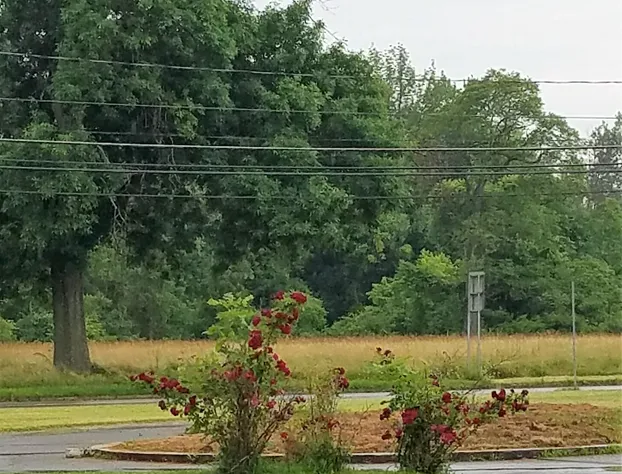 The Dunkirk Motel hotel detail image 1