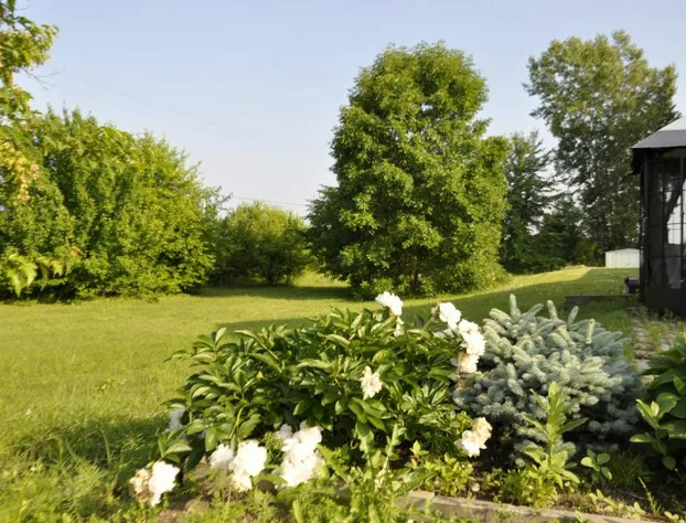 Motel Les Pignons Verts hotel detail image 2