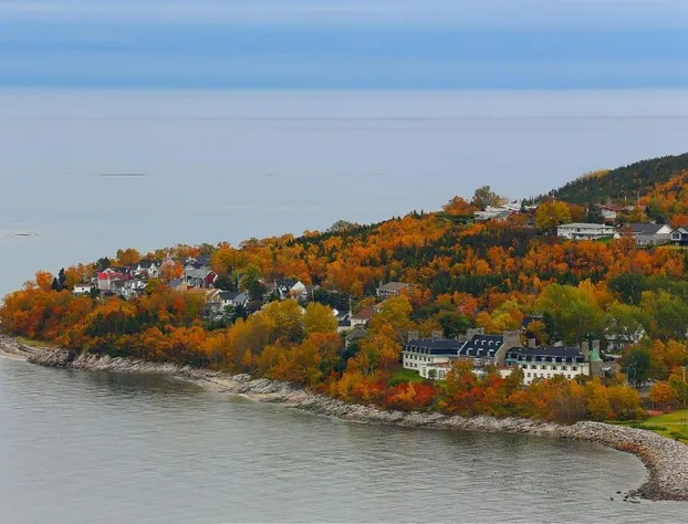 Hôtel Le Manoir hotel detail image 3