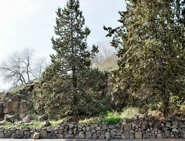 Travelodge by Wyndham Klamath Falls hotel detail image 4