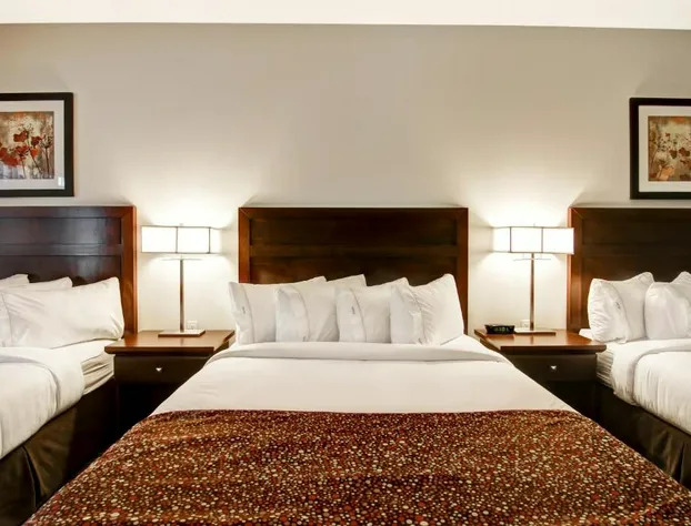 Tisdale Canalta Hotel hotel detail image 1